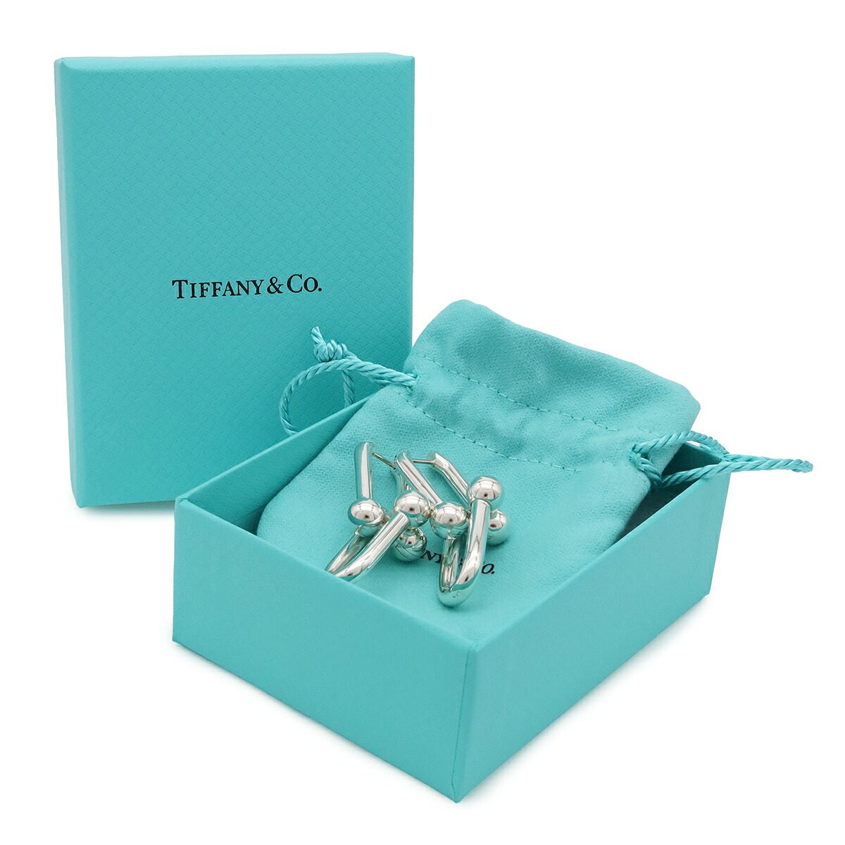 Tiffany & Co. HardWear Extra Large Link Sterling Silver Earrings – packaging