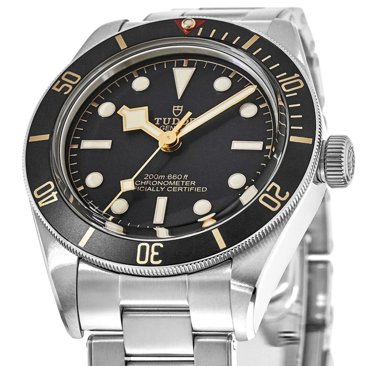 Tudor Black Bay 58 M79030N Black Dial